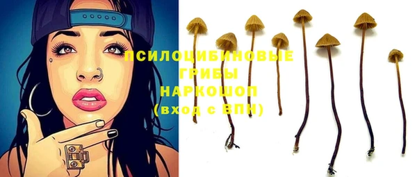 MESCALINE Иннополис