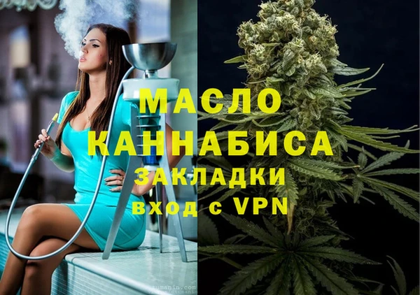 2c-b Инсар