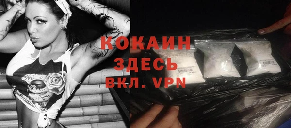 2c-b Инсар