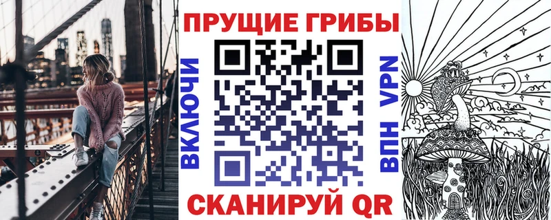 Купить где  Топки  Псилоцибиновые грибы Cubensis 